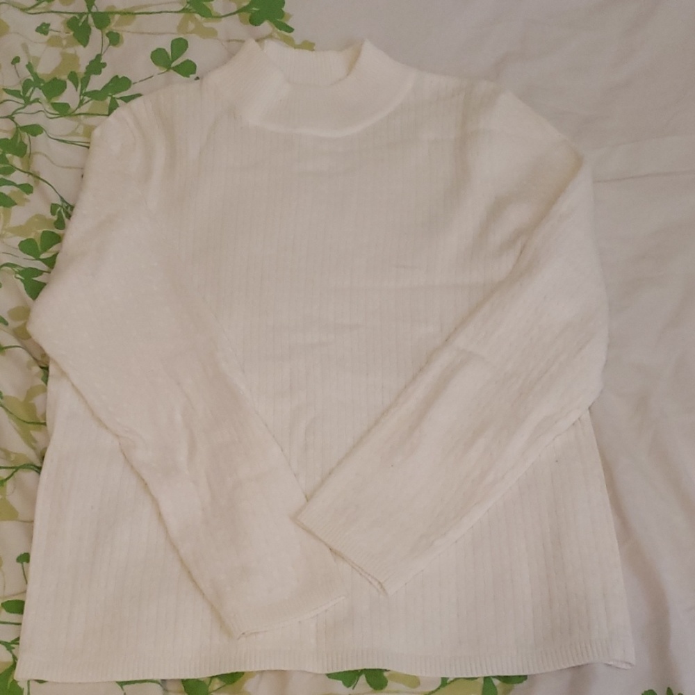 Long sleeve turtleneck